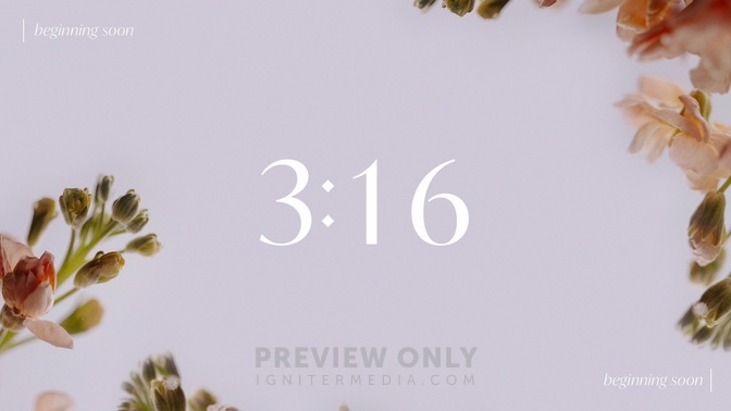 Floral_Details_Floral_Details_Countdown_01_HD.jpg