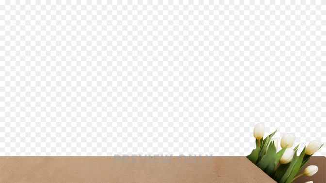 L3_TH_Spring_Forward_WIDE#preset=tg_transparent_png_preview.jpg