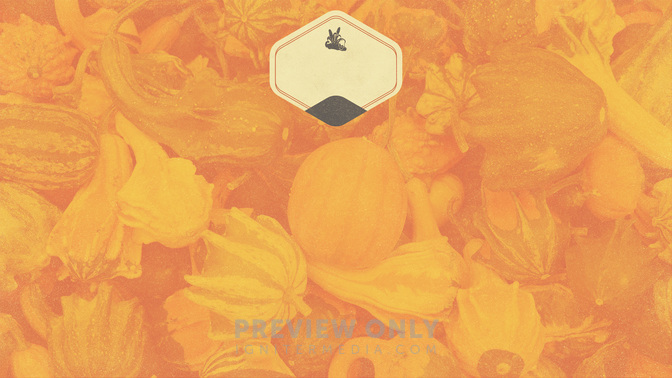 Thanksgiving_Meal_Donation_WIDE-CONTENT-3#preset=tg_alt3.jpg