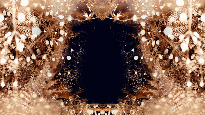 Joy2-WIDE#preset=tg_title3.jpg