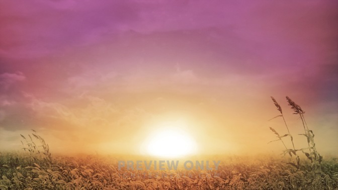 Sunrise_Wheat_16x9.jpg