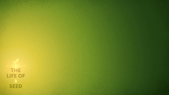 The_Life_of_a_Seed_16x9-CONTENT-2#preset=tg_alt2.jpg