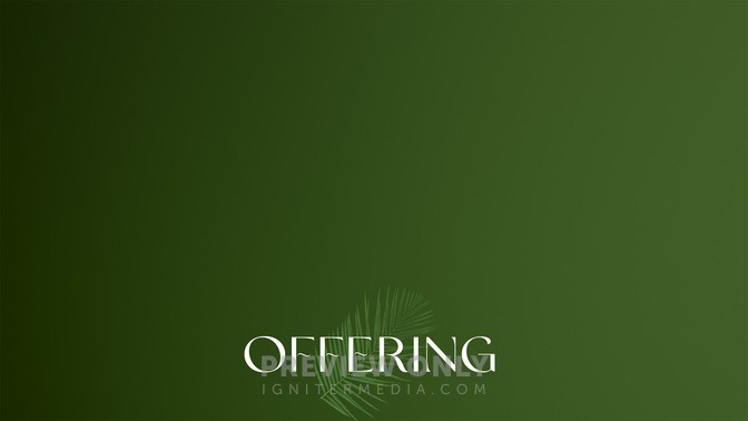 PalmOffering-WIDE#preset=tg_alt1.jpg