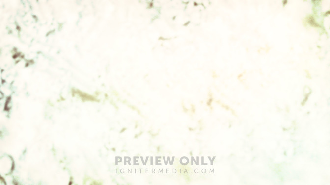 Murmuring_Moments_16x9-BACKGROUND#preset=tg_bg.jpg