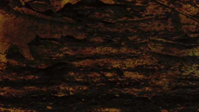 texture 3