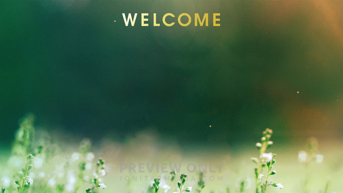 Welcome_Fields_of_Bloom_WIDE-CONTENT-2#preset=tg_alt2.jpg