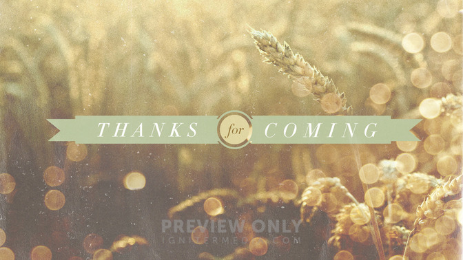 Wheat_Field_-_Thanks_For_Coming_16x9-TITLE-2#preset=tg_title2.jpg