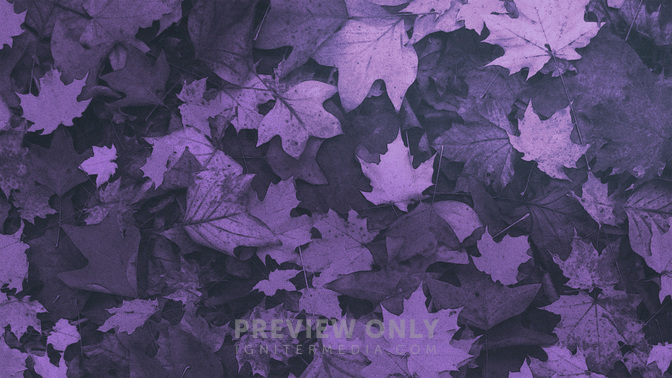 Brushed_Leaves-Goodbye_WIDE-BACKGROUND#preset=tg_bg.jpg
