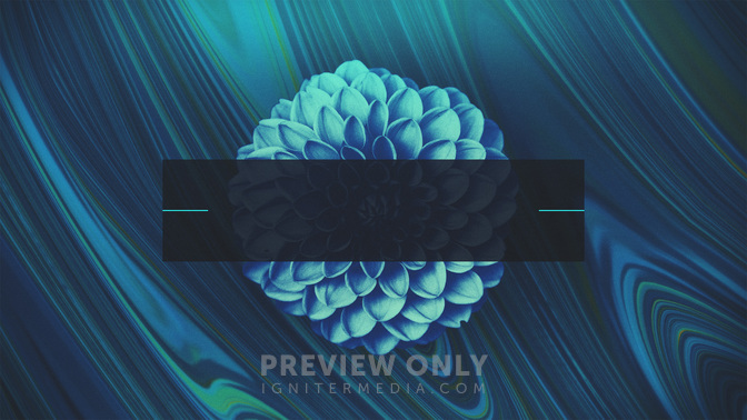 Spring_Mix-Welome_WIDE-TITLE-3#preset=tg_title3.jpg