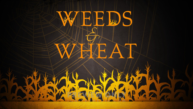 Weeds__Wheat_16x9-TITLE-2#preset=tg_title2.jpg