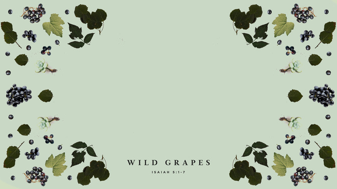Wild_Grapes_WIDE-CONTENT-1#preset=tg_alt1.jpg