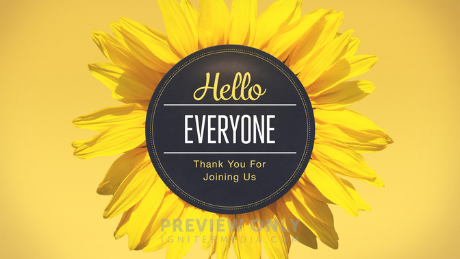 Flowers_-_Hello_Everyone_16x9-TITLE-1#preset=tg_title1.jpg