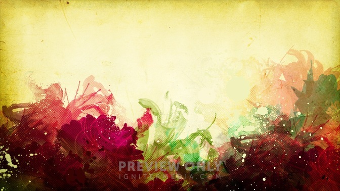 Flower_1_16x9.jpg