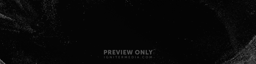 New_Year_Shimmer_Mono_MS_1920x480.jpg