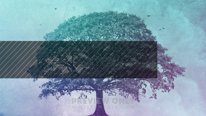 Newness_of_Life_16x9-TITLE-3#preset=tg_title3.jpg