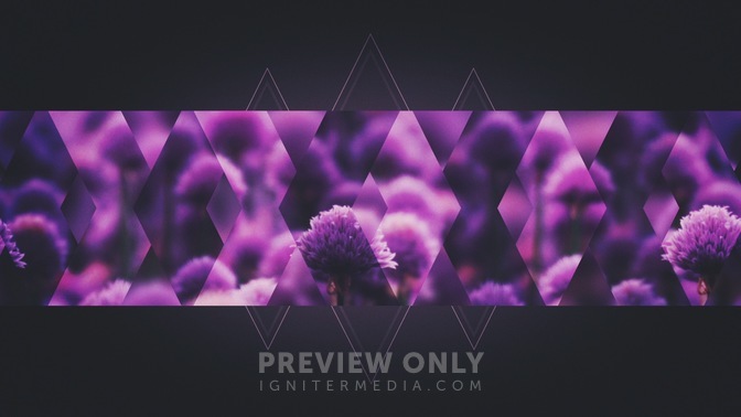 Spring_Shift_Purple_Bar_HD.jpg