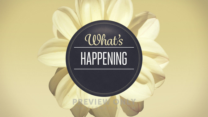 Flowers_-_Whats_Happening_16x9-TITLE-2#preset=tg_title2.jpg