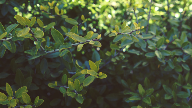 Goodbye-WIDE#preset=tg_title3.jpg