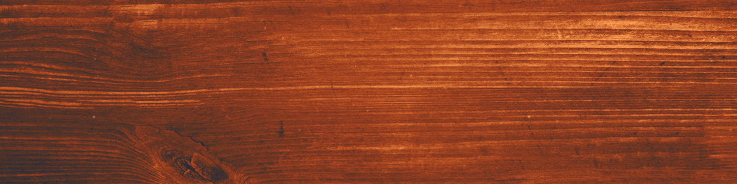 Wood_Leaves_Wood_MS_1920x480.jpg