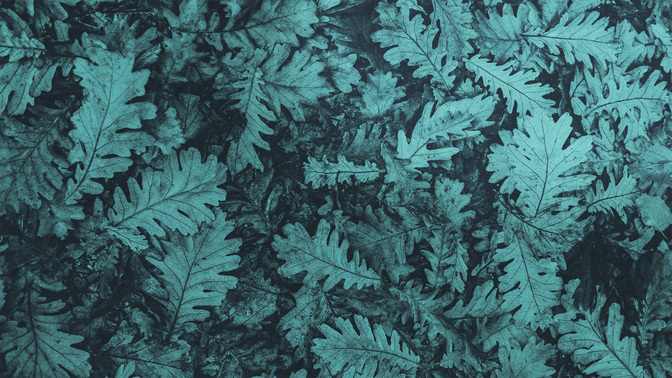 Brushed_Leaves-Welcome_WIDE-BACKGROUND#preset=tg_bg.jpg