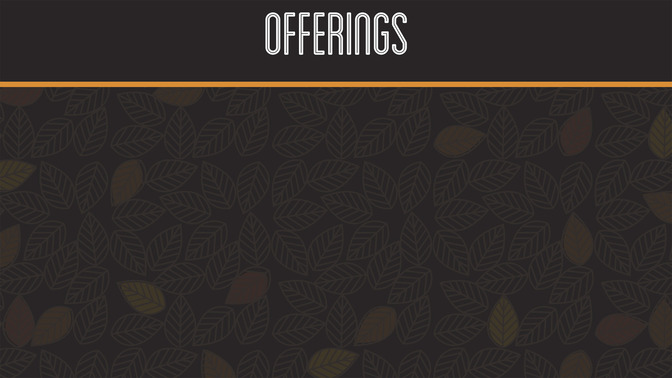 Fall_Leaves_-_Offerings_16x9-CONTENT-2#preset=tg_alt2.jpg