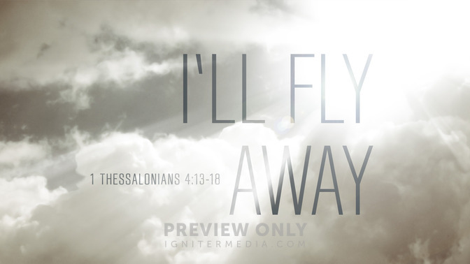 ill fly away