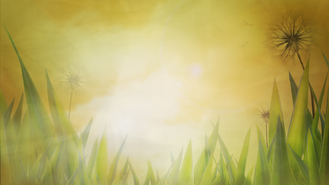 summer 2