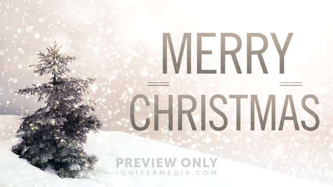 Snowy_Tree_-_Merry_Christmas_16x9-TITLE-2#preset=tg_title2.jpg
