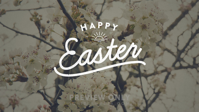 Blossoms_-_Happy_Easter_16x9-TITLE-2#preset=tg_title2.jpg