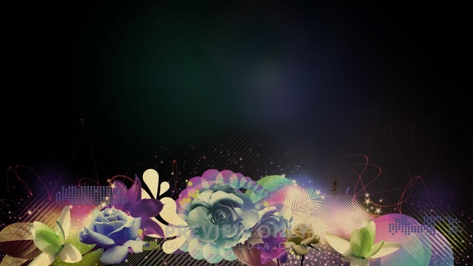Colorful_Roses_2_16x9.jpg