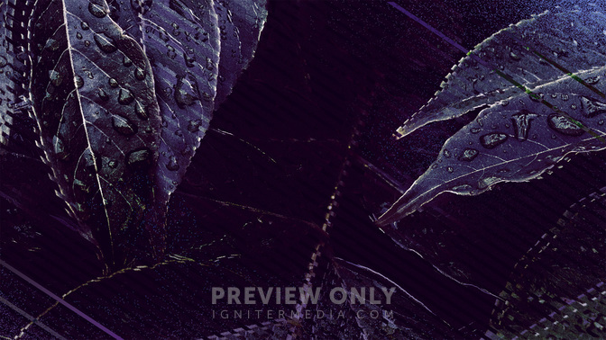 MarriageConference-WIDE#preset=tg_title3.jpg