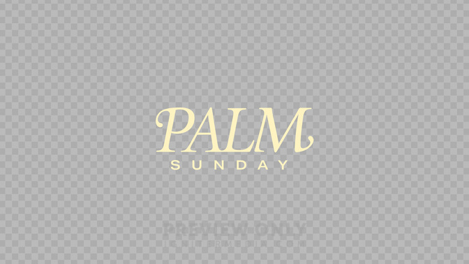 palm_Transparent#preset=preview_only.jpg