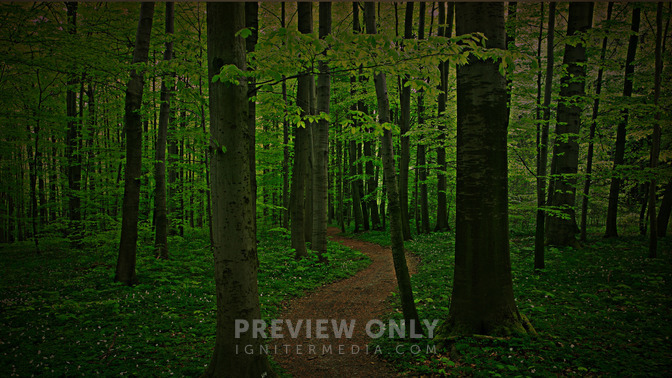 The_Way_of_Wisdom_16x9-BACKGROUND#preset=tg_bg.jpg
