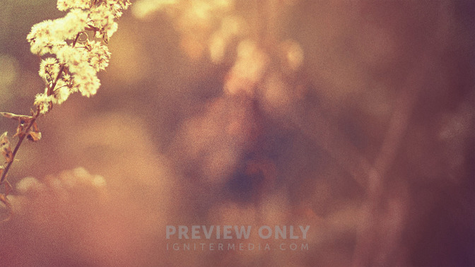 In_God_We_Trust_16x9-CONTENT-3#preset=tg_alt3.jpg