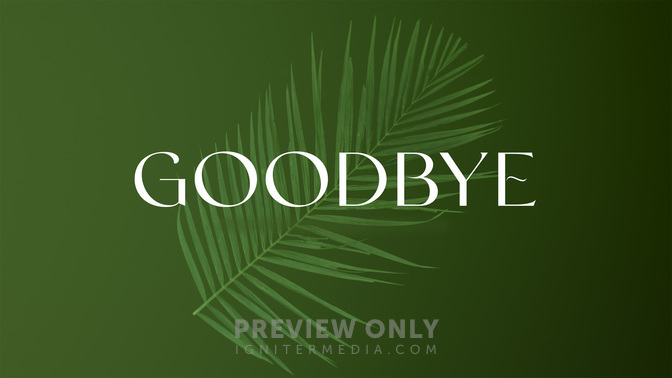 PalmGoodbye-WIDE#preset=tg_title2.jpg
