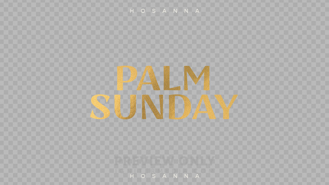 Palm_Transparent#preset=preview_only.jpg