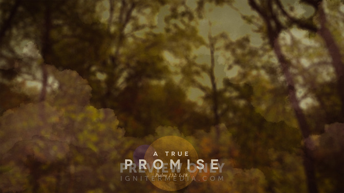 A_True_Promise_16x9-CONTENT-1#preset=tg_alt1.jpg