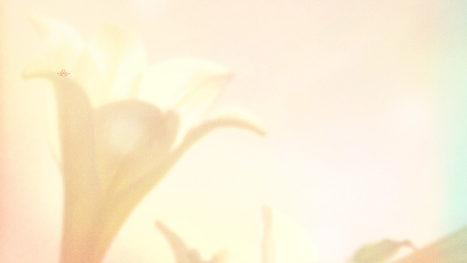 Lilies_-_Thanks_For_Coming_16x9-CONTENT-3#preset=tg_alt3.jpg