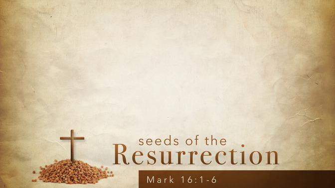 Seeds_of_the_Resurrection_16x9-CONTENT-1#preset=tg_alt1.jpg