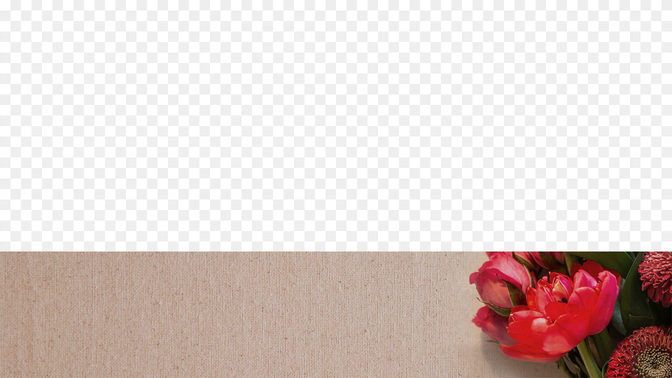 We-Love-You-Mom-Spanish-WIDE#preset=tg_transparent_png_preview.jpg