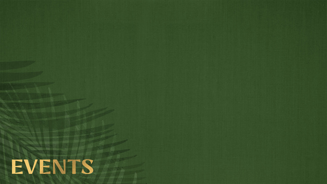 Sayings of EasterV1_Alt1_Palm-Events_WIDE#preset=tg_alt1.jpg