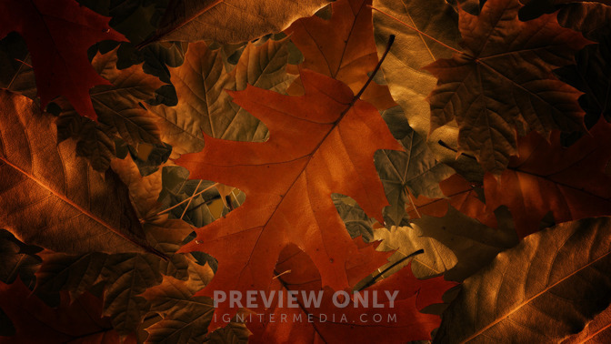 Welcome_16x9-TITLE-3#preset=tg_title3.jpg