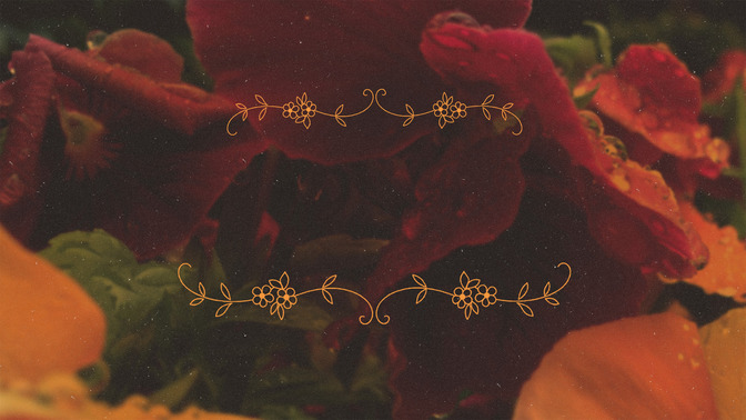 Vida_Abundante_16x9-TITLE-3#preset=tg_title3.jpg