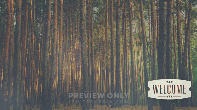Forest_Morning_-_Welcome_16x9-CONTENT-2#preset=tg_alt2.jpg