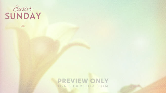 Lilies_-_Easter_Sunday_16x9-CONTENT-2#preset=tg_alt2.jpg