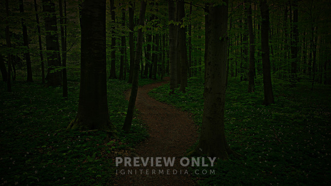 The_Way_of_Wisdom_16x9-CONTENT-3#preset=tg_alt3.jpg