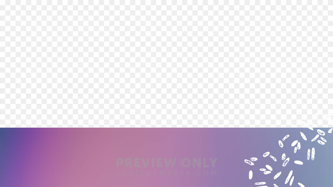 Summer Sun_L3_TH_WorshipNight_WIDE#preset=tg_transparent_png_preview.jpg