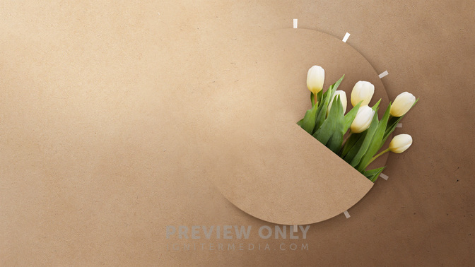 TT3_Spring_Forward_WIDE#preset=tg_title3.jpg