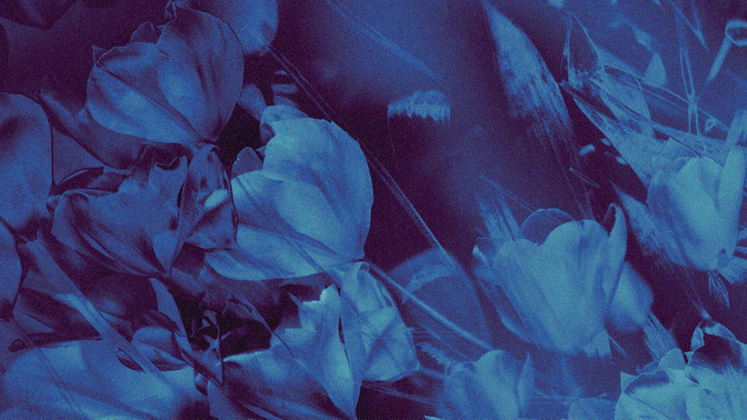 hyper bloom - welcome