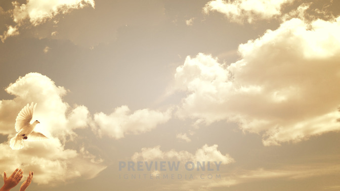 Grace_Givers_16x9-CONTENT-3#preset=tg_alt3.jpg